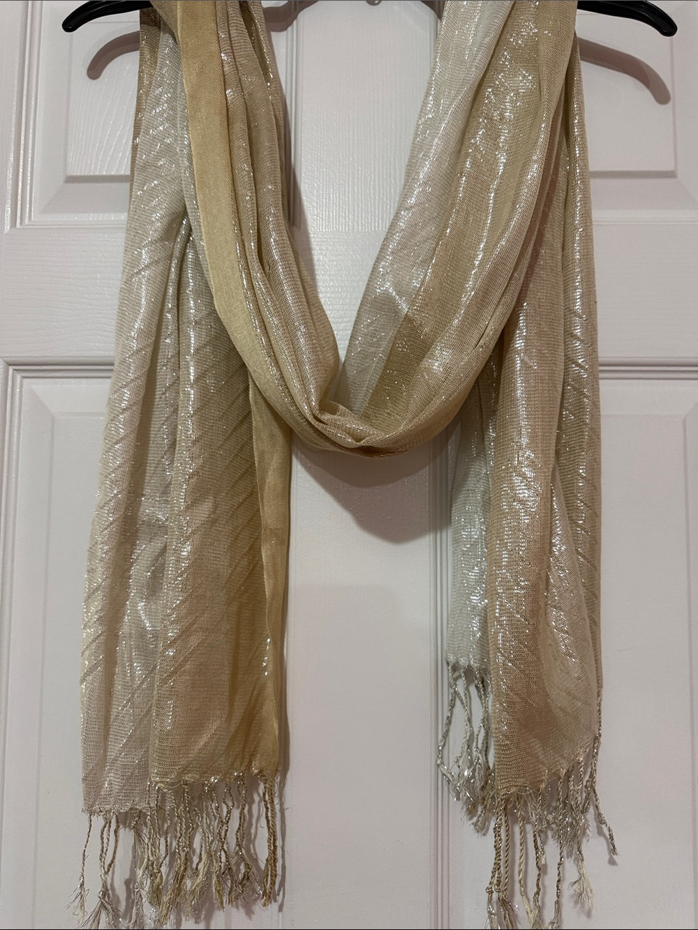 Elegant Shimmery Beige Wrap Scarf